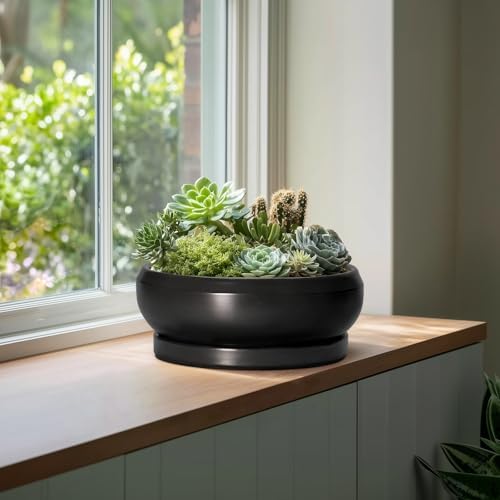 Bonsai Pots 13 Inch - Large Ceramic Succulent Pots with Drainage Hole and Tray, Round Planter Bowl Indoor Outdoor, Modern Shallow Planters, Home Living Room Decor, Gardening Gifts, Black - Image 4