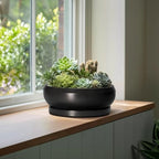 Bonsai Pots 13 Inch - Large Ceramic Succulent Pots with Drainage Hole and Tray, Round Planter Bowl Indoor Outdoor, Modern Shallow Planters, Home Living Room Decor, Gardening Gifts, Black - Image 4