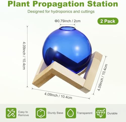M METERXITY 2 Pack Glass Planter Terrarium with Wooden Stand, Desktop Plant Propagation Station Bulb Vase for Hydroponic Plants Propagation/Home Garden Decor/Plant Lover [Blue] - Image 3