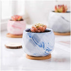 Flower Pot Ceramic Flower Planter Pots with Drain Hole Marble Pattern Modern Succulents Containers for Home Decor Indoor Flower Plant Pots Gardening Containers，Roze-C - Image 7