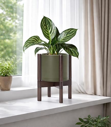 D'vine Dev Plastic Pot with Walnut Wood Stand, Olive, 8 in, 55-C-I-3 - Image 6