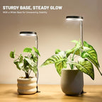 LBW Grow Lights for Indoor Plants, Full Spectrum Halo Grow Light with Base - Image 6
