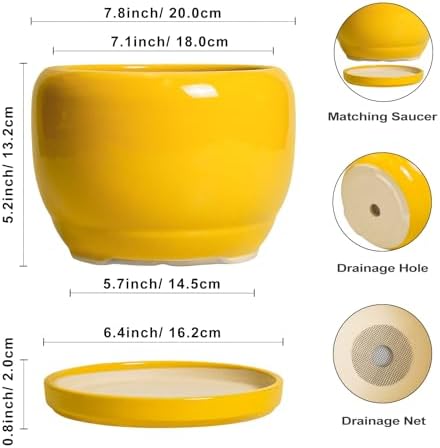 SQOWL Ceramic Plant Pot - 8 Inch Planter for Indoor Outdoor, Decorative Plant Pot with Drainage Hole and Saucer, Modern Round Planter for Flower, Desk Decor, Housewarming Gifts, Yellow - Image 3