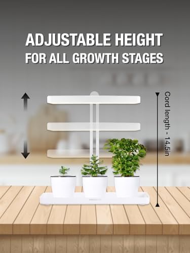 TORCHSTAR Indoor Herb Garden with LED Grow Light, Height Adjustable, CRI 95 - Image 4