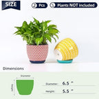 Selamica Ceramica Plant Pots, 6.5 Inch Flower Pots Set of 2 with Drainage Holes & Saucer, Planters for Indoor Plants, Home Decor, Assorted Colors - Image 3