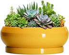 Succulent Pots 10 Inch - Ceramic Bonsai Pots with Drainage Hole and Tray, Shallow Plant Pot Indoor Outdoor, Modern Bonsai Tree Pot, Round Planter Bowl, Home Decor, Housewarming Gift, Yellow by EPFamily