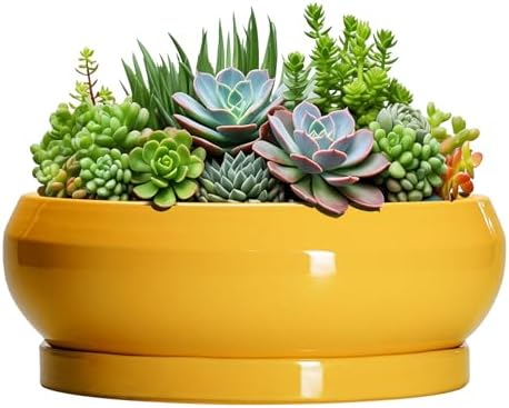 Succulent Pots 10 Inch - Ceramic Bonsai Pots with Drainage Hole and Tray, Shallow Plant Pot Indoor Outdoor, Modern Bonsai Tree Pot, Round Planter Bowl, Home Decor, Housewarming Gift, Yellow by EPFamily