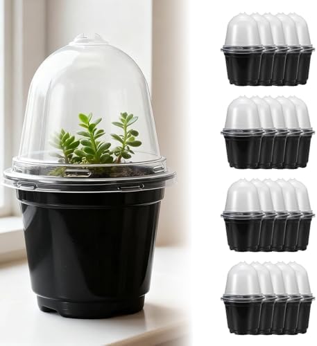 3.5/4/5” Nursery Pots with Humidity Dome, Square Seedling Pots Thickened Hardened with Tray, Plastic Seedling Containers for Indoor Outdoor Plant Germination(B,20PCS-3.5IN) by Unknown