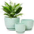 Ceramic Flower Pots with Drainage Hole and Saucer, Modern Round Succulent Planters with Honeycomb Inspired Texture Design, Small to Medium Sized, Set of 3, Green by Nattol