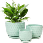 Ceramic Flower Pots with Drainage Hole and Saucer, Modern Round Succulent Planters with Honeycomb Inspired Texture Design, Small to Medium Sized, Set of 3, Green by Nattol