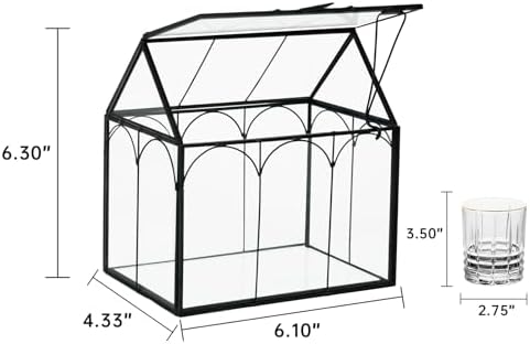 Ferrisland Glass Geometric Plant Terrarium, Clear Glass Succulent - Image 3