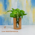 Natural Cork Cylindrical Propagation Planter - Image 5