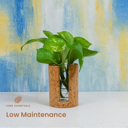 Natural Cork Cylindrical Propagation Planter - Image 5