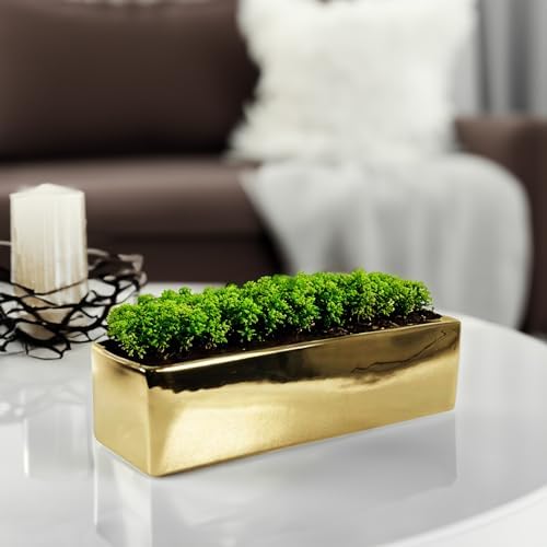 WGVI Long Rectangle Ceramic Planter Vase in Gold 12" x 4" x 4"H, Block Rectangular Terrarium Box Pot, Flower Arrangement, Table top Centerpiece, Home Decor Organization Storage Container, 6 Pcs. - Image 5