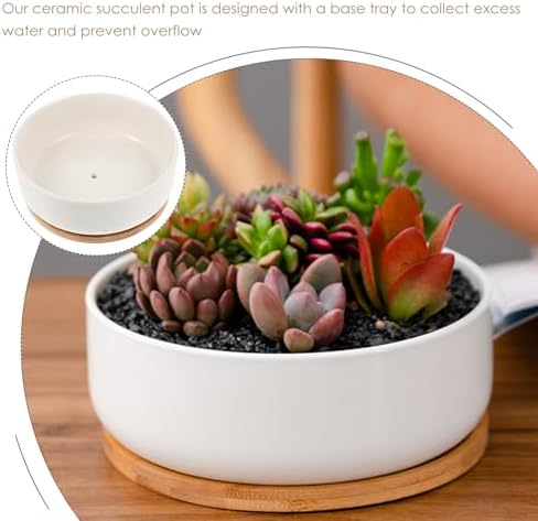 White Ceramic Succulent Plant Pot with Bamboo Tray and Drain Holes - Image 7