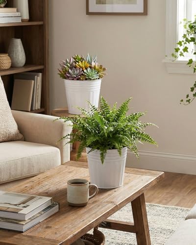 6 Inch White Metal Rustic Flower Pots - 6Pcs Galvanized Planters with Drainage Hole and Rubber Plug, Rustproof Metal Bucket Plant Pots Farmhouse Vintage Style for Decor - Image 4