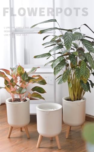 Modern self-Watering Planter with Stand Legs, White Planter Pot with Wood-Mimic Stand, Easy Lazy Care Planter, Size 13 x 8 - Image 2