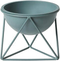 ルームアンドホーム Room and Home Pot Cover, Stand, Decorative Plants, Gardening, D Type, Green, Small, 6.3 x 6.9 x 5.7 inches (16 x 17.5 x 14.5 cm) by Unknown