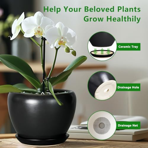 Ceramicfor Ceramic Planter Pot - 8 Inch Plant Pot with Drainage Hole and Saucer Round Planter for Indoor Plants Modern Outdoor Flower Pot for House Balcony Black - Image 6