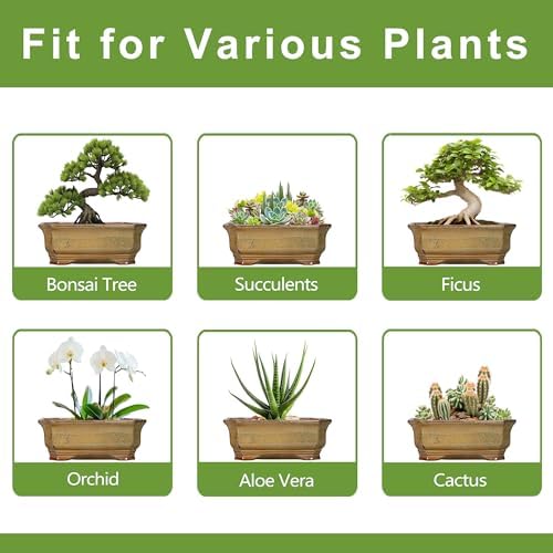Bonsai Tree Pots 11.6 Inch - Ceramic Bonsai Planter for Succulent Plants, Succulent Pots with Drainage Hole, Large Indoor Flower Pot, Home Decor, Plant Lover Gifts, Rectangular Yellowish Brown - Image 7