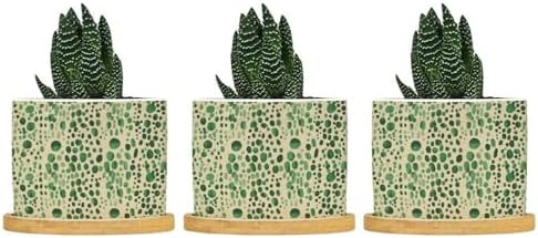 Green Planters Ceramic Animal Green Print Round Flower Pots with Drainage Holes and Bamboo Tray Pot for Home Office Desk Garden by BRUYU5SE