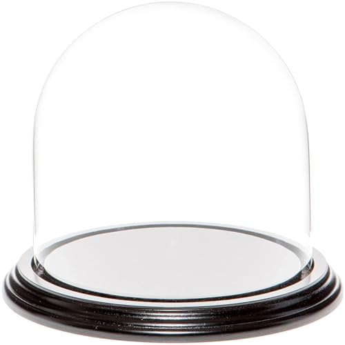 Plymor 5.5" x 5.5" Glass Display Dome Cloche (Black Wood Veneer Base) by Plymor