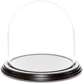 Plymor 5.5" x 5.5" Glass Display Dome Cloche (Black Wood Veneer Base) by Plymor