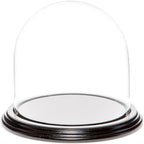 Plymor 5.5" x 5.5" Glass Display Dome Cloche (Black Wood Veneer Base) by Plymor
