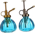 Vintage Glass Watering Spray Bottle 2Pcs for Flowers and Succulents by LIOOBO