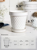 LE TAUCI Ceramic Flower Pot with Drainage Hole & Saucer,Plant Pots Set of 4,Arctic White - Image 3