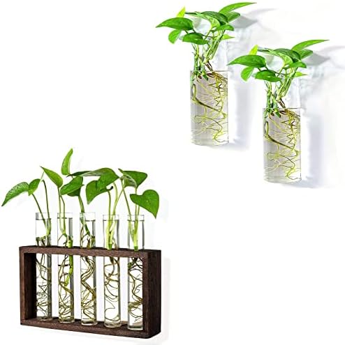 Wall Hanging 5 Test Tube with Wooden Frame and 2 Cylindrical Propagation Vase for Water Plants, Home Office Living Room Decor, Gift for Plant Lovers by PACDONA