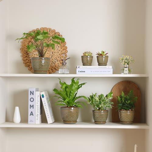Sureasy Ceramic Plant Pots, 4.7 Inch Flower Pots for Indoor Plants, Succulent Pots with Saucer and Drainage Hole, Decorative Planter for Succulent, Cactus, Set of 4, Green - Image 6