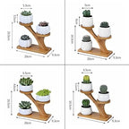 HASMI Plant pots 1 Set Ceramic Owl Garden Pots Pumpkin Flowerpot Nursery Succulent Plant Pot 3 Bonsai Planters with 3-Tier Shelf Flower Pots (Color : 1) - Image 2