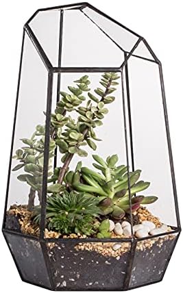 NCYP No Door Geometric Glass Terrarium Planter for Small Succulent, Small Cacti, Black Irregular Opened Terrarium Pot, Indoor Home Garden Office Tabletop Decor, 6.5" x 5.7" x 9.8" (No Plants) by NCYP