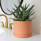 Bloem Mathers 6" Modern Plastic Planter, Muted Terra Cotta, 4-Pack - Image 2