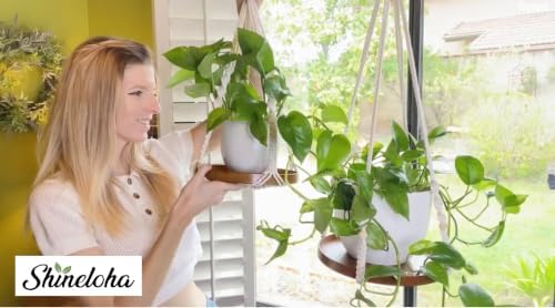 2 Pack Macrame Plant Hanger, Hanging Plant Shelf (12" + 10") - Image 6
