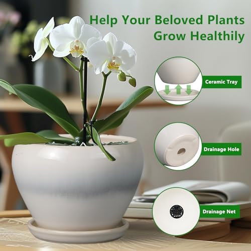 Ceramicfor Ceramic Planter - 8 Inch Plant Pot with Drainage Hole and Saucer, Glaze Round Flower Pot for Home Garden Patio Office, White - Image 6