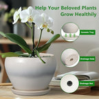 Ceramicfor Ceramic Planter - 8 Inch Plant Pot with Drainage Hole and Saucer, Glaze Round Flower Pot for Home Garden Patio Office, White - Image 6