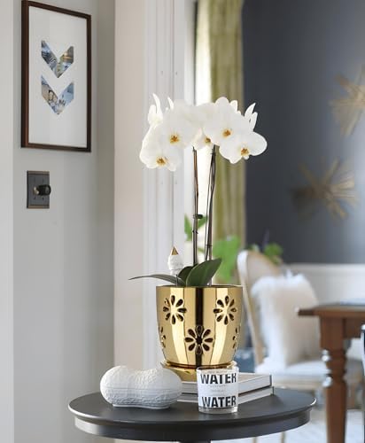 Oairse 6 inch Orchid Pots with Holes, Gold Ceramic Orchid Pot for Repotting Small Indoor Plant Pots with Drainage Holes and Saucers Decorative Flower Planter for Orchids, Indoor Plant - Image 5