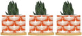 Orange Swan Cranes Ceramic Planters Orange and White Lily Geese Flock Planters for Outdoor Plants with Drainage Holes and Saucers Pot for Indoor Outdoor Garden by BRUYU5SE