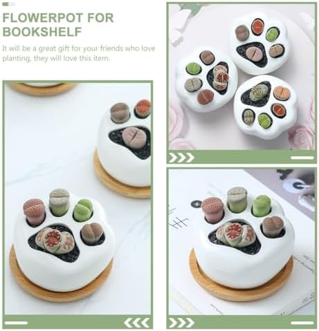 BESTonZON Ceramic Cat Paw Flower Pots, 2 Sets with Tray for Succulents - Image 6