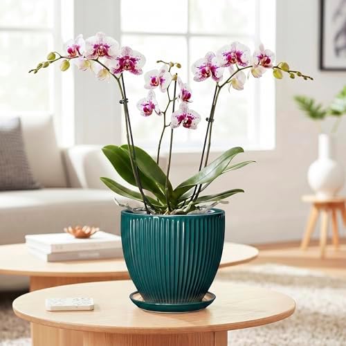 Ceramic Flower Pots, 6 Inch Planters with Saucer, Blackish Gree - Image 3