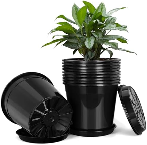 FUIJOL 2 Gallon Plastic Pots with Drip Trays, Sturdy Gallon Plant Pots with Drainage Holes, Large Plastic Planter for Flowers, Ideal for Indoor and Outdoor Use (2Gallon-10PACK) by FUIJOL