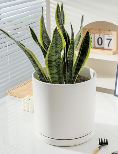 ADN 10inch White Ceramic Planter Pot with Drainage Hole and Saucer - Image 4