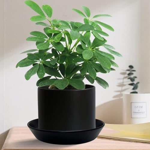 Ceramic Plant Saucer Tray 9 10 11 Inch Black, 11.3" OD x9.7 ID x1.8 Deep| Round Sturdy Heavy Duty Glazed Bevel Planter Drip Flower pots with Catch Basin for Indoor Outdoor Plants - Image 3