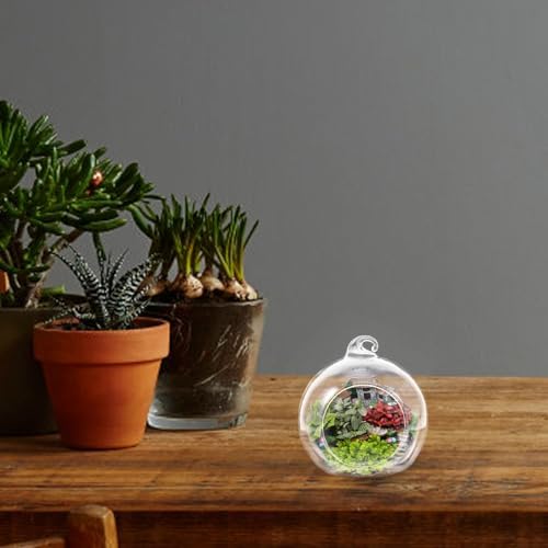 12pcs Hanging Glass Globes Terrarium for Micro Landscape Crafts - Image 7