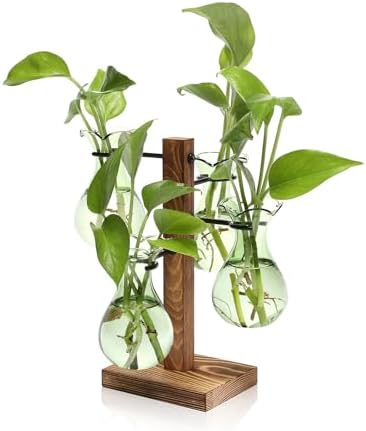 Plants Propagation Stations Bulb Glass Propagation Birthday Gift for Women by YYHglass