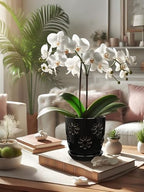 Oairse 6 inch Orchid Pots with Holes, Black Ceramic Orchid Pot for Repotting Small Indoor Plant Pots with Drainage Holes and Saucers Decorative Flower Planter for Orchids, Indoor Plant - Image 7