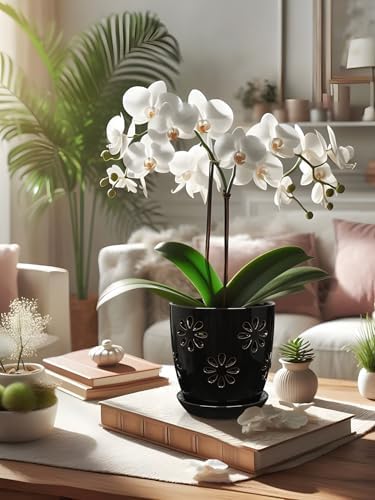 Oairse 6 inch Orchid Pots with Holes, Black Ceramic Orchid Pot for Repotting Small Indoor Plant Pots with Drainage Holes and Saucers Decorative Flower Planter for Orchids, Indoor Plant - Image 7