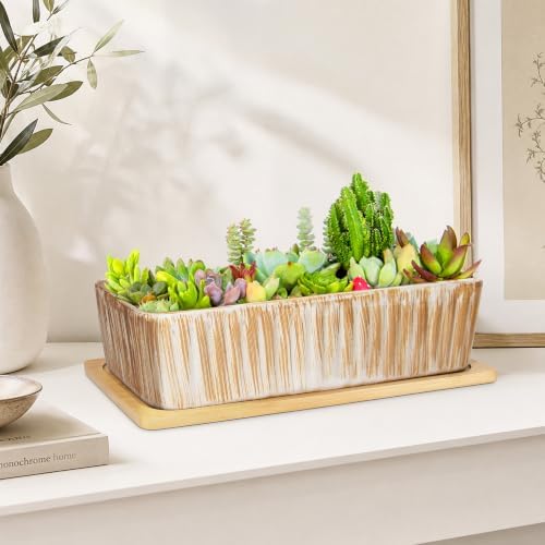 Succulent Pots, 12'' Long Rectangle Planters with Tray, Windowsill Planter - Image 5
